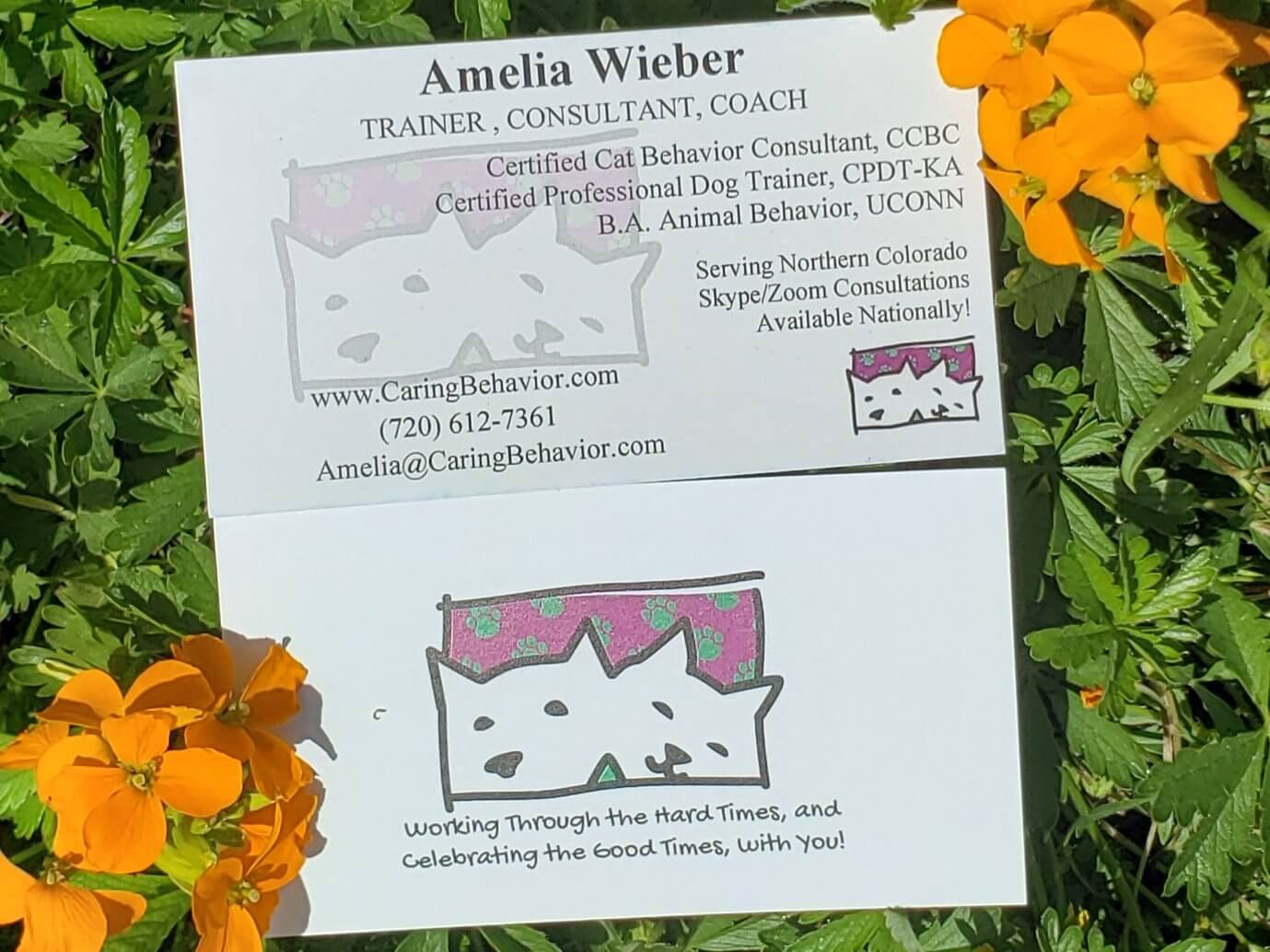 Winner small image - Caring Behavior Animal Behavior Consulting